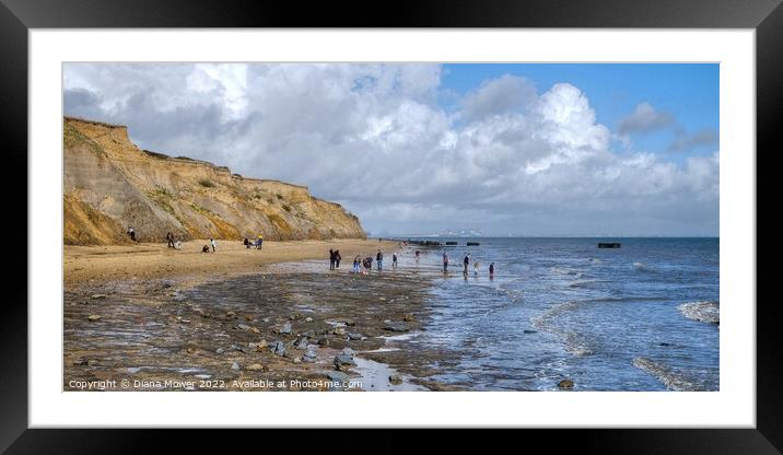 The Naze beach Fossil Hunting Framed Mounted Print by Diana Mower