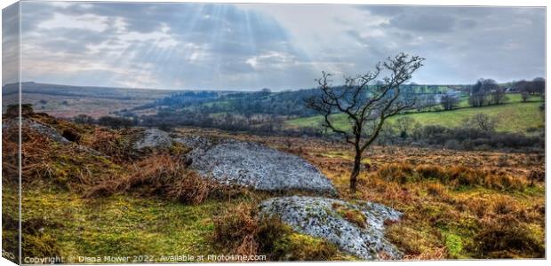 Dartmoor Panoramic view   Canvas Print by Diana Mower