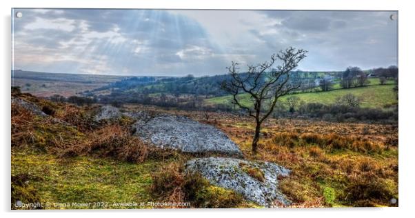 Dartmoor Panoramic view   Acrylic by Diana Mower
