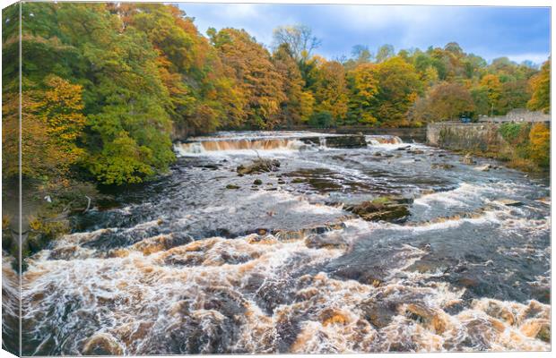River Swale Canvas Print by Apollo Aerial Photography