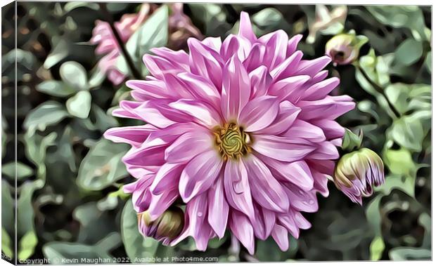 Vibrant Pink Dahlia (Digital Art) Canvas Print by Kevin Maughan