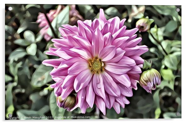 Vibrant Pink Dahlia (Digital Art) Acrylic by Kevin Maughan
