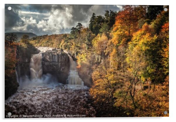 High Force Waterfall Acrylic by Gary Richardson