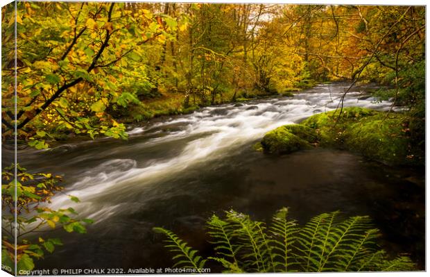 The river Rothay in the lake district on an Autumn day.  Canvas Print by PHILIP CHALK