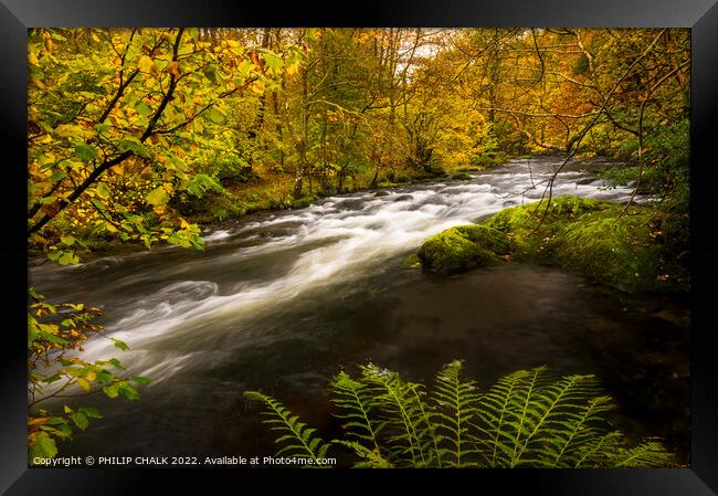 The river Rothay in the lake district on an Autumn day.  Framed Print by PHILIP CHALK