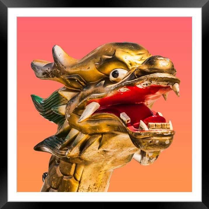 The Mighty Dragon Boat Framed Mounted Print by Steve Purnell