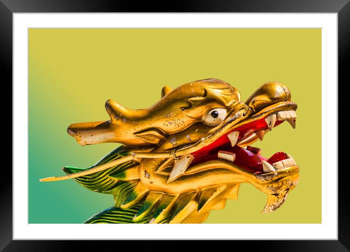 Roaring with Power Framed Mounted Print by Steve Purnell