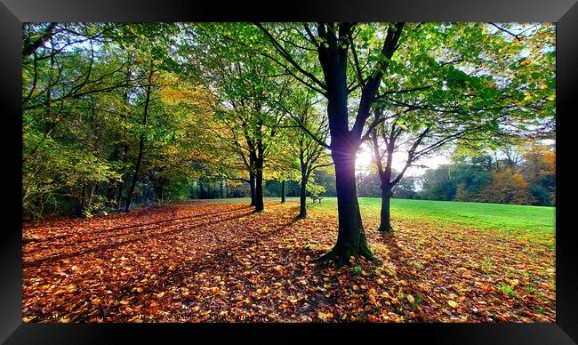 Autumn Park, Preston Framed Print by Michele Davis