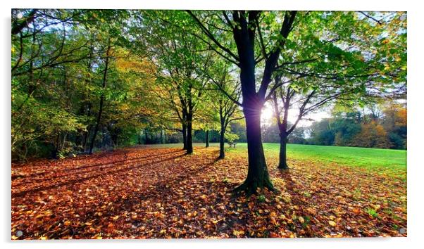 Autumn Park, Preston Acrylic by Michele Davis