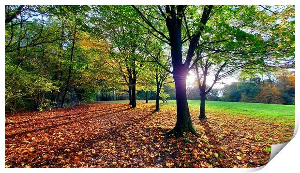 Autumn Park, Preston Print by Michele Davis