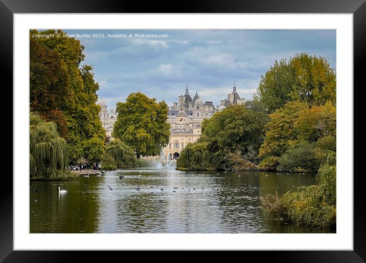 Serenity in St. James Park Framed Mounted Print by Aimie Burley