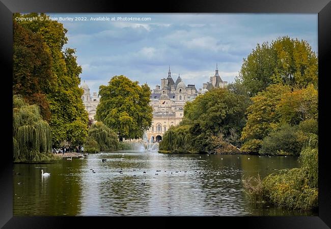 Serenity in St. James Park Framed Print by Aimie Burley