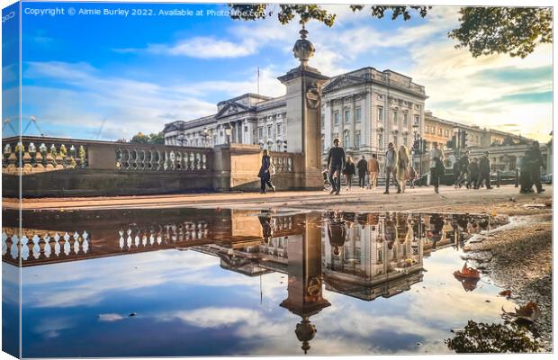 A Regal Reflection Canvas Print by Aimie Burley