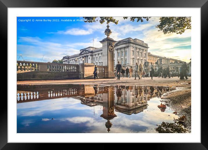 A Regal Reflection Framed Mounted Print by Aimie Burley