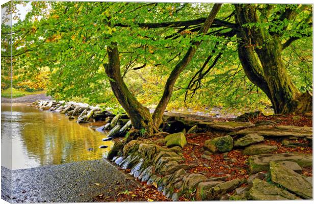 The Tarr Steps Exmoor Somerset Canvas Print by austin APPLEBY