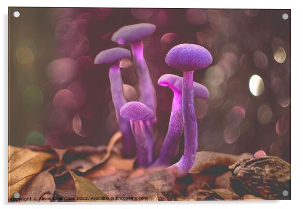 Amethyst Deceiver Mushroom Acrylic by Alison Chambers