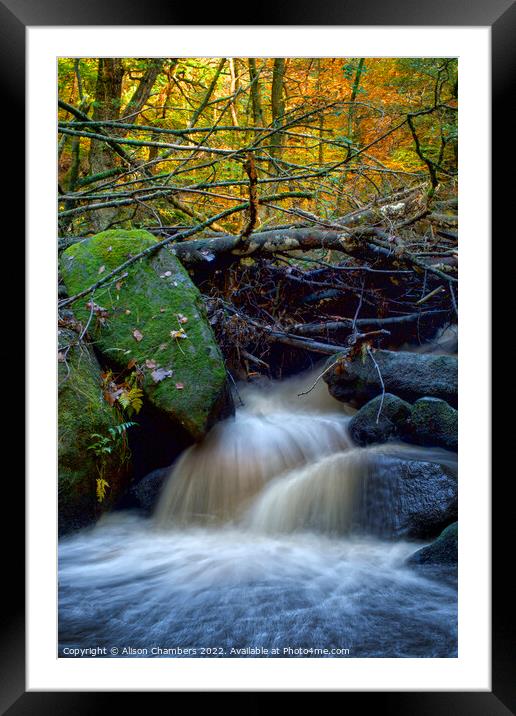 Padley Gorge Waterfall Framed Mounted Print by Alison Chambers
