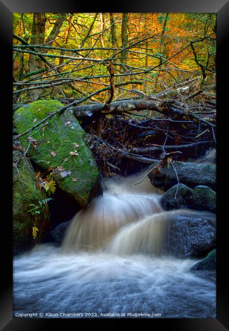 Padley Gorge Waterfall Framed Print by Alison Chambers