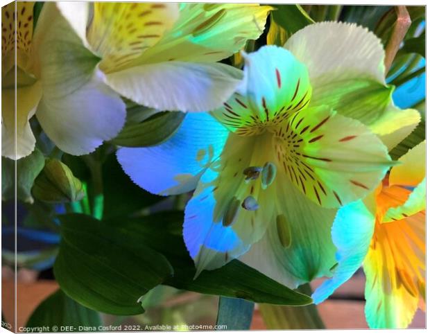 Prism lit white flowers Canvas Print by DEE- Diana Cosford