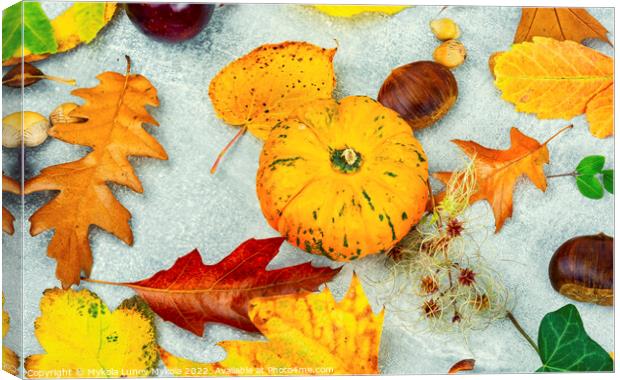 Herbarium of autumn leaves. Canvas Print by Mykola Lunov Mykola