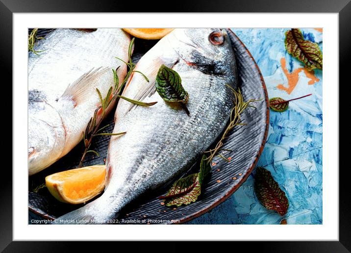Cooking dorado fish. Framed Mounted Print by Mykola Lunov Mykola