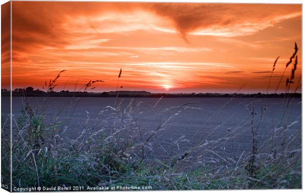 Sunset Over Fields Canvas Print by David Borrill
