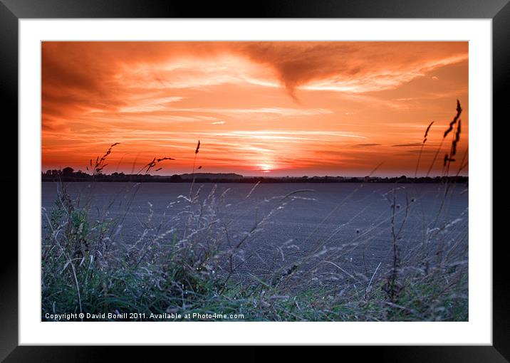 Sunset Over Fields Framed Mounted Print by David Borrill