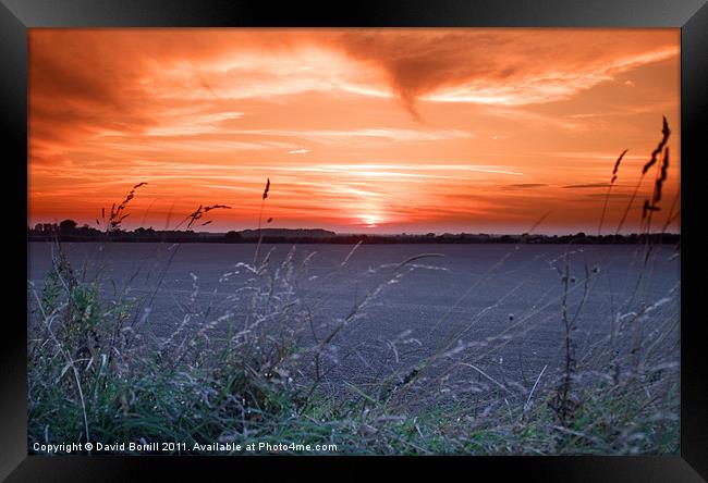 Sunset Over Fields Framed Print by David Borrill
