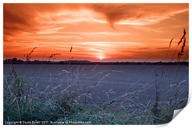 Sunset Over Fields Print by David Borrill