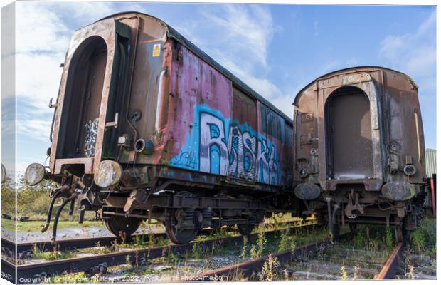 Rusting Abandoned Railway Carriages with Graffiti Canvas Print by Heather Sheldrick