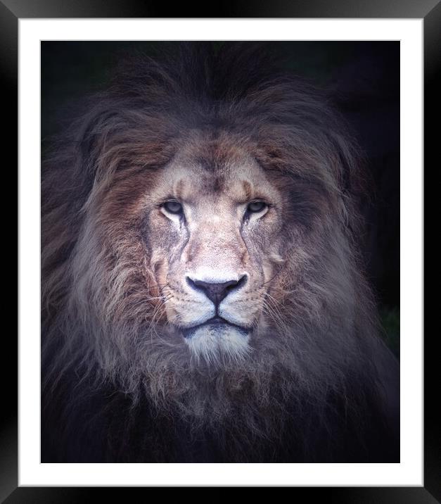 Are You the Next Meal ! Framed Mounted Print by Jon Fixter