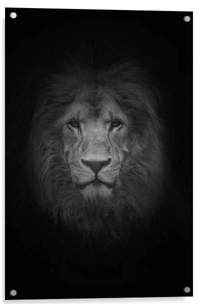 Portrait of a Lion  Acrylic by Jon Fixter
