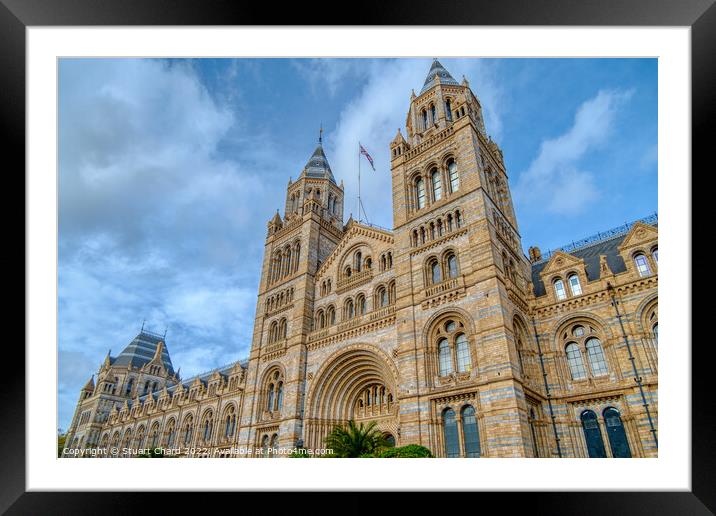 Natural History Museum Framed Mounted Print by Travel and Pixels 
