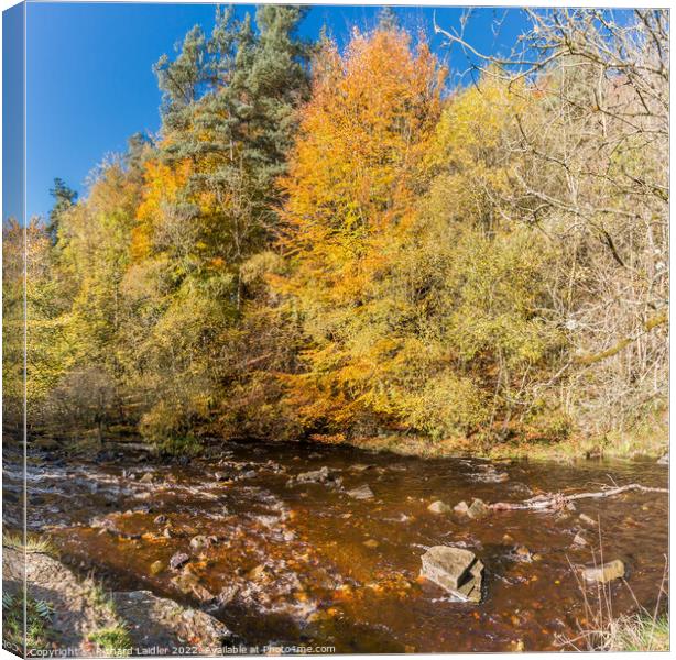 Autumn at Bow Lee Beck, Teesdale Canvas Print by Richard Laidler
