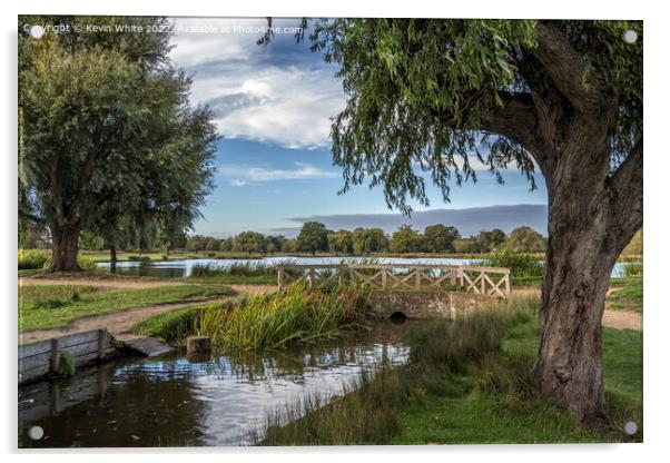 Bridge deviding two ponds Bushy Park Acrylic by Kevin White