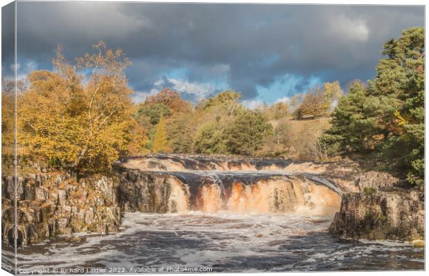 Autumn Splendour at Low Force Waterfall, Teesdale Canvas Print by Richard Laidler