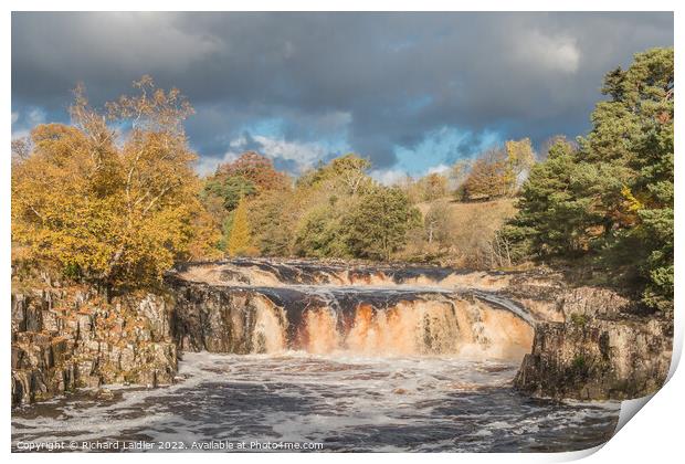 Autumn Splendour at Low Force Waterfall, Teesdale Print by Richard Laidler