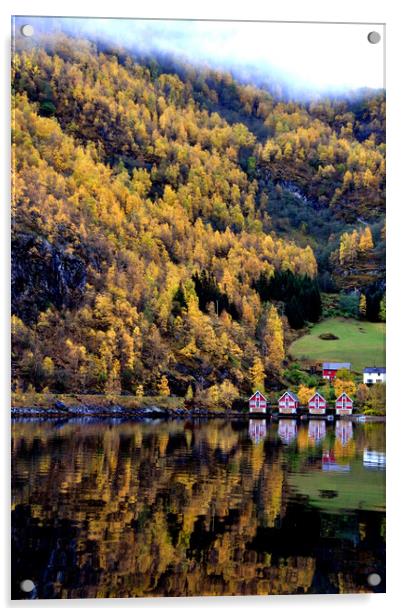 Autumn Trees Flam Aurlandsfjord Norway Acrylic by Andy Evans Photos