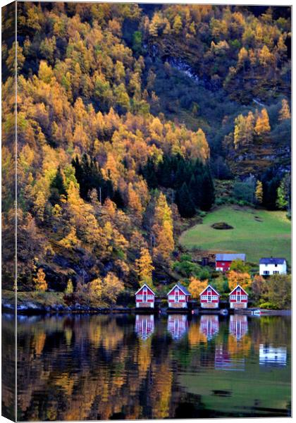 Autumn Trees Flam Aurlandsfjord Norway Canvas Print by Andy Evans Photos