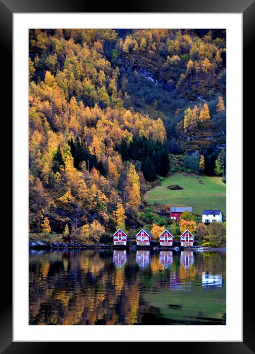 Autumn Trees Flam Aurlandsfjord Norway Framed Mounted Print by Andy Evans Photos