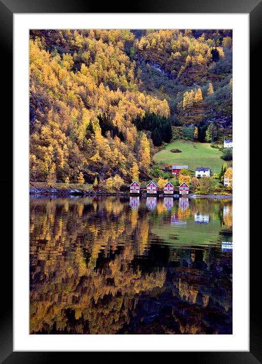 Autumn Trees Flam Aurlandsfjord Norway Framed Mounted Print by Andy Evans Photos