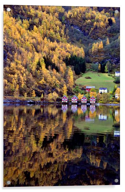 Autumn Trees Flam Aurlandsfjord Norway Acrylic by Andy Evans Photos