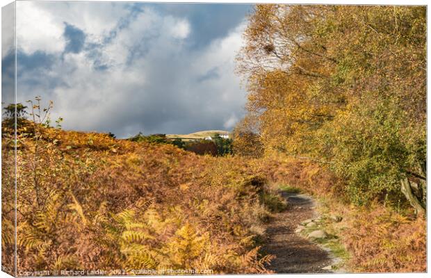 Autumn on the Pennine Way towards High Force, Teesdale  Canvas Print by Richard Laidler