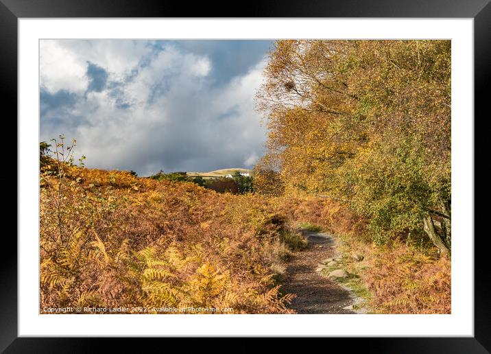 Autumn on the Pennine Way towards High Force, Teesdale  Framed Mounted Print by Richard Laidler