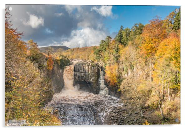 Autumn Splendour at High Force Waterfall, Teesdale Acrylic by Richard Laidler