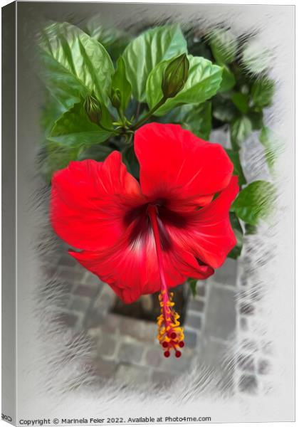 Bright red flower Canvas Print by Marinela Feier