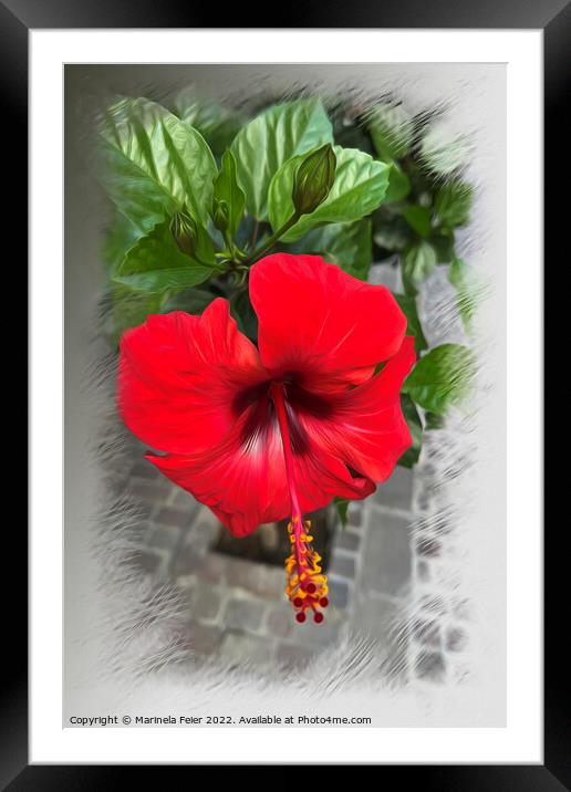 Bright red flower Framed Mounted Print by Marinela Feier