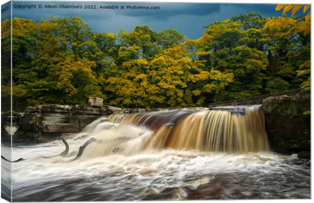 Autumn Colour at Richmond Falls Canvas Print by Alison Chambers