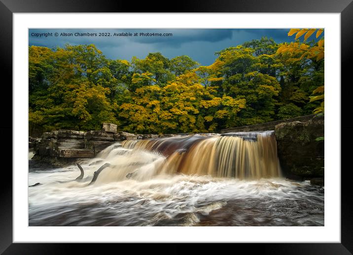 Autumn Colour at Richmond Falls Framed Mounted Print by Alison Chambers