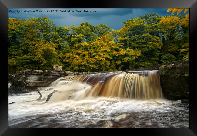 Autumn Colour at Richmond Falls Framed Print by Alison Chambers